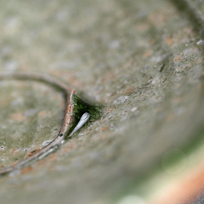 ボリュームのある伊賀焼の器 ー辻村 塊状の「伊賀鉢」