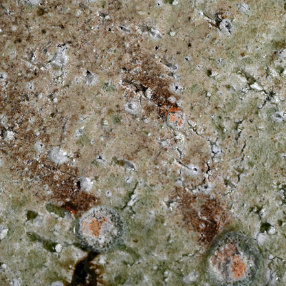 ボリュームのある伊賀焼の器 ー辻村 塊状の「伊賀鉢」