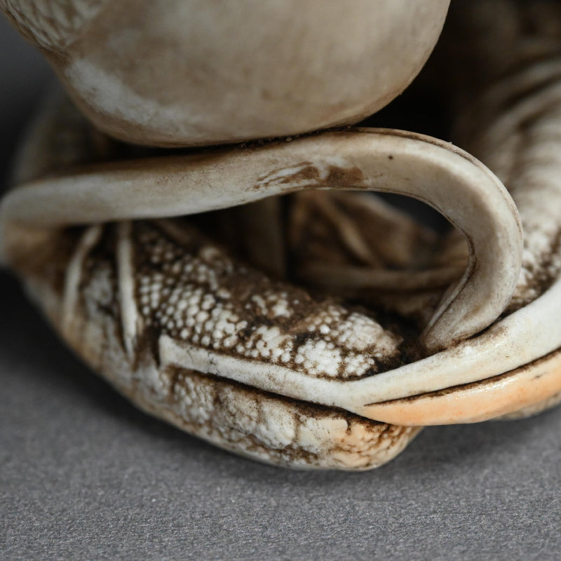 アンティークの日本の生磁器香炉、ウズラ