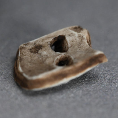 アンティークの日本の生磁器香炉、ウズラ