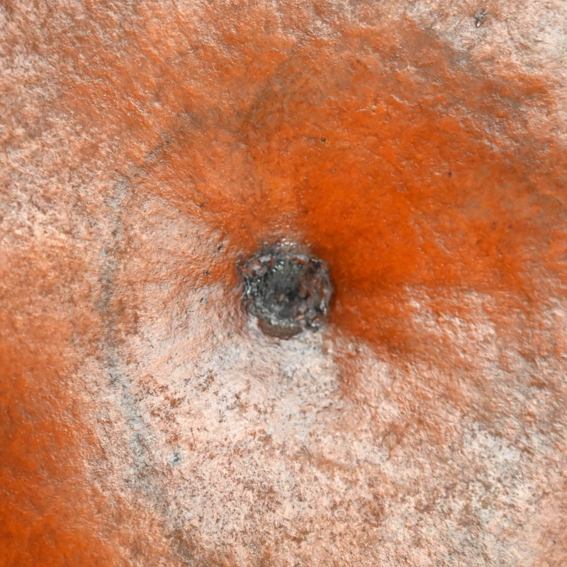 Antique Japanese Bento Picnic Box Made of a Gourd