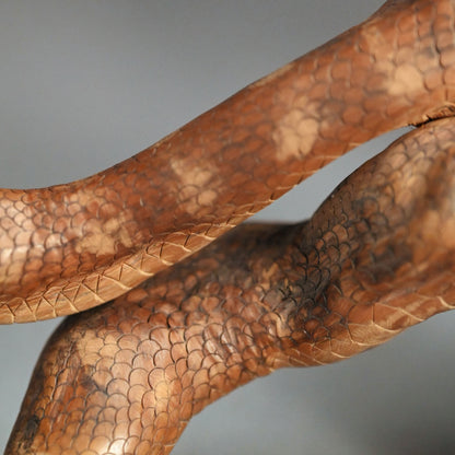 Antique Japanese Root-Wood Carved Snake