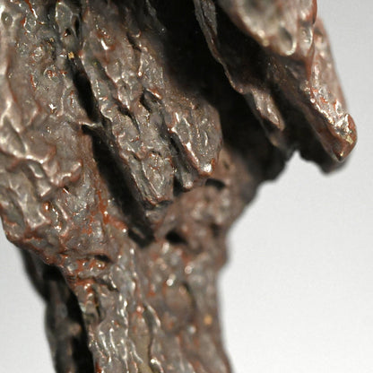 Antique Scholar Viewing Stone with Rose-wood Stand