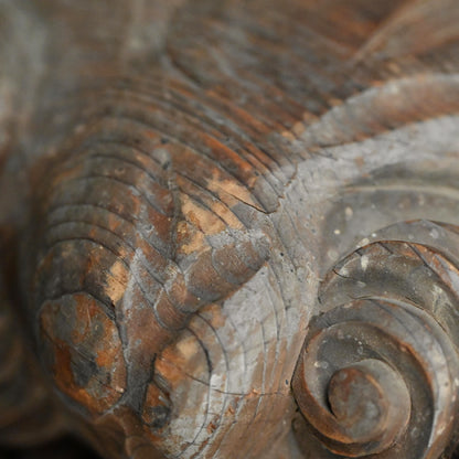 Antique Carved Wood Shishi Architectural Lion Ornaments