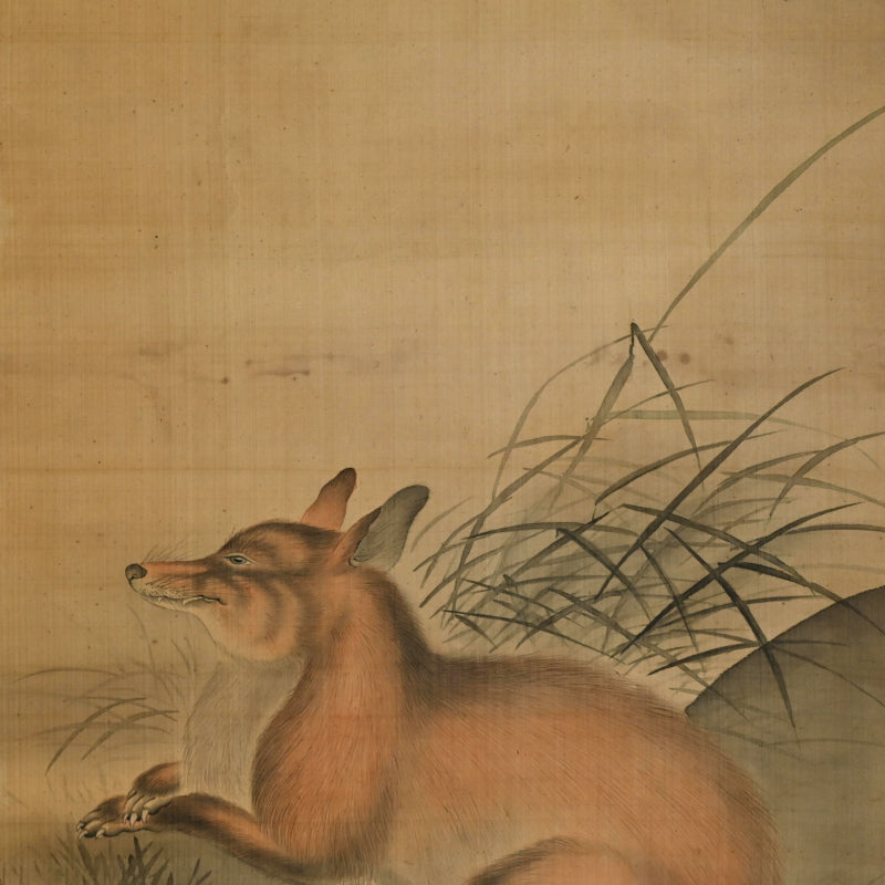 Fox in moonlight ー森 徹山