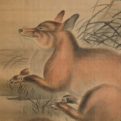 Fox in moonlight ー森 徹山
