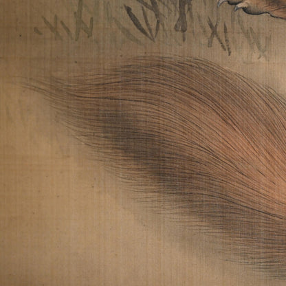 Fox in moonlight ー森 徹山