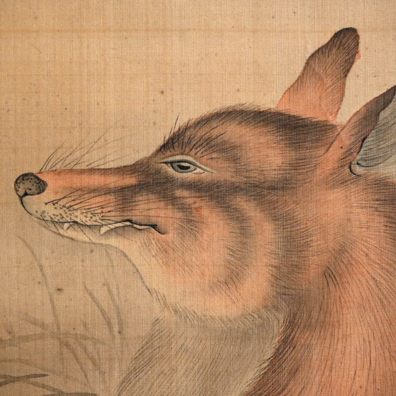 Fox in moonlight ー森 徹山