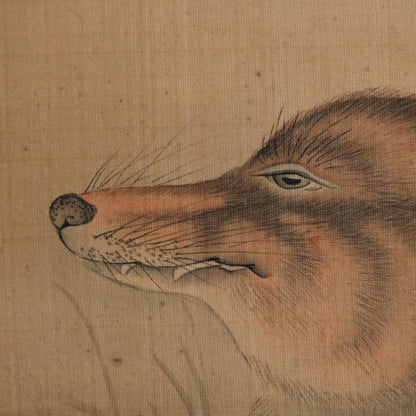 Fox in moonlight ー森 徹山