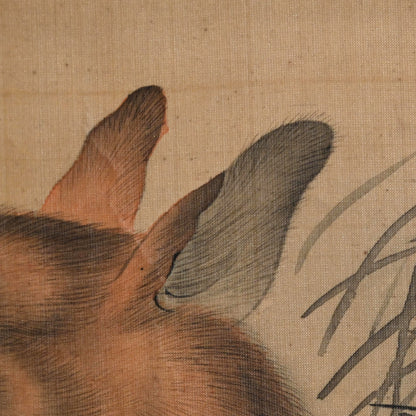 Fox in moonlight ー森 徹山