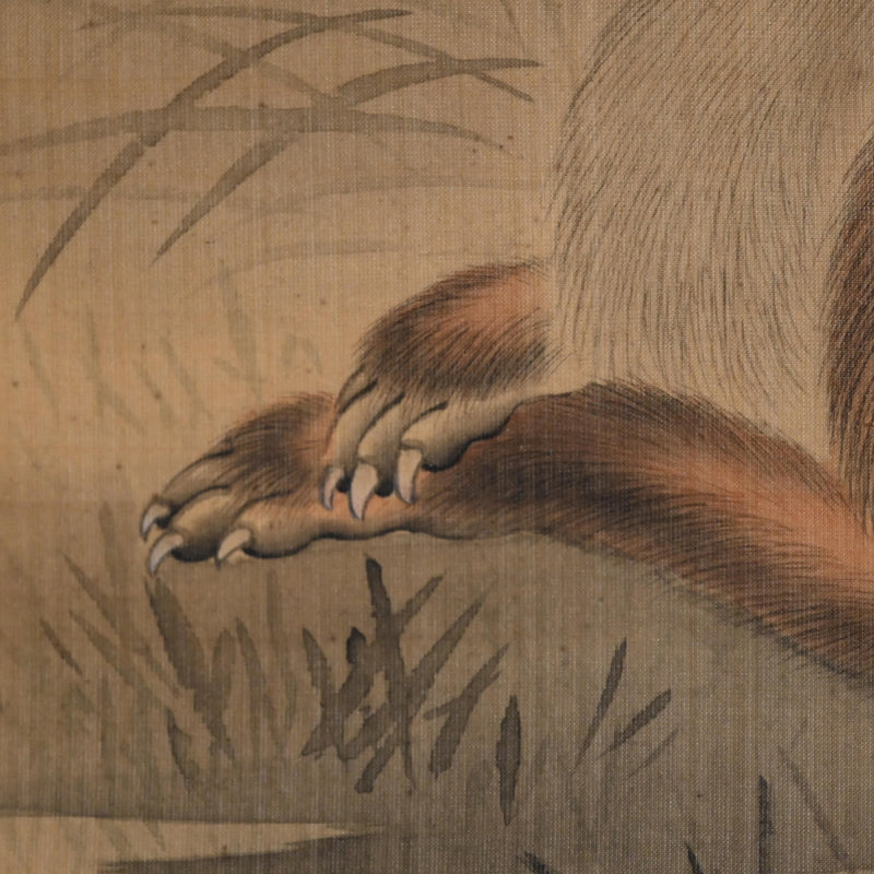 Fox in moonlight ー森 徹山