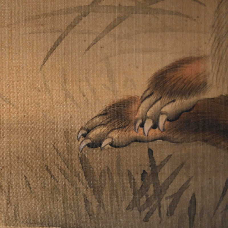 Fox in moonlight ー森 徹山