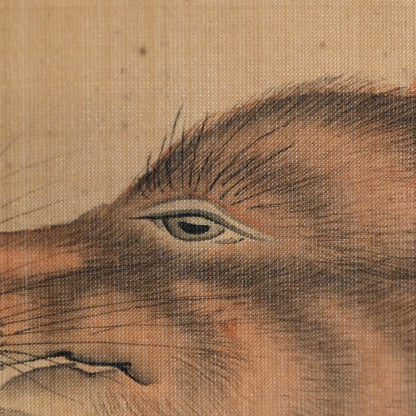 Fox in moonlight ー森 徹山