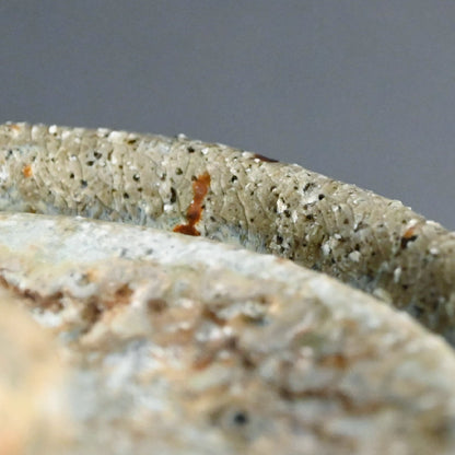 Hagi Mizusashi ー十三代 坂田 泥華 “萩灰被耳付水指”