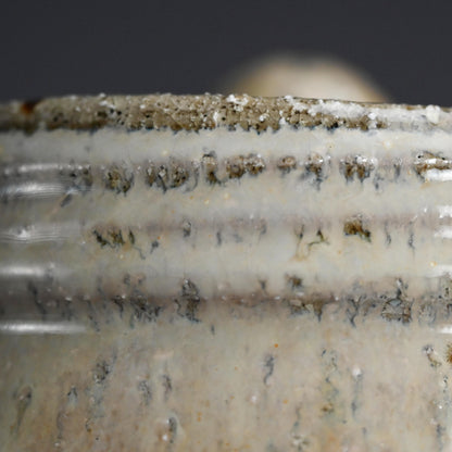 Hagi Mizusashi ー十三代 坂田 泥華 “萩灰被耳付水指”