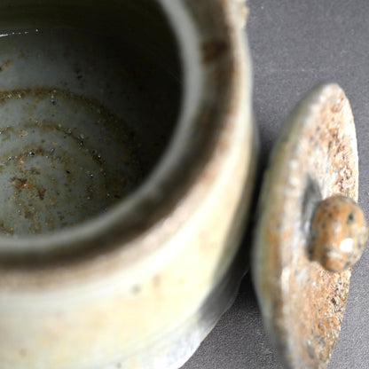 Hagi Mizusashi ー十三代 坂田 泥華 “萩灰被耳付水指”