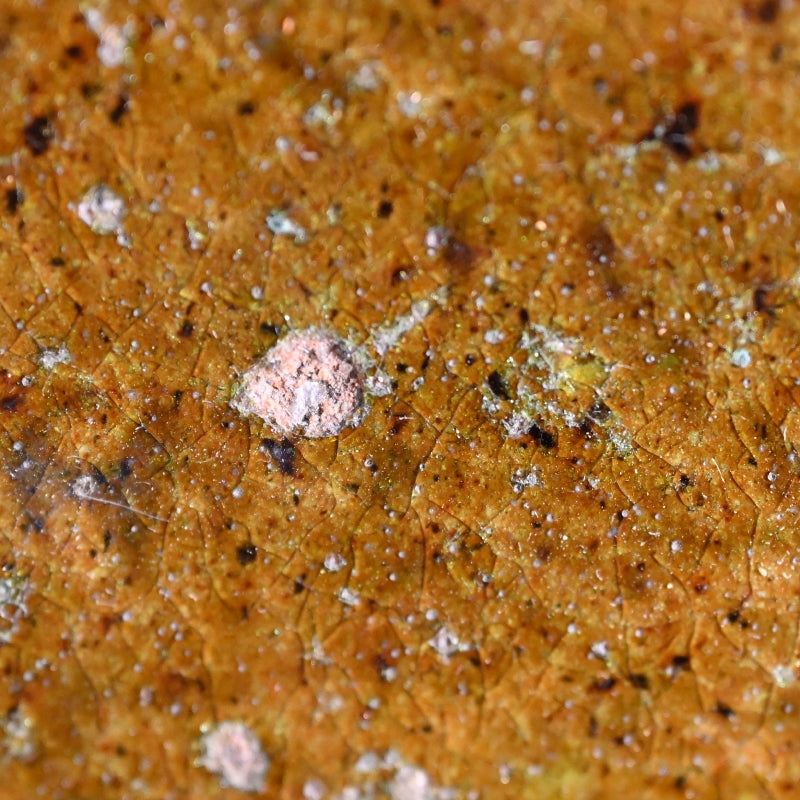 Antique Japanese Ceramic Tile for Maccha Tea Ceremony