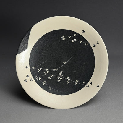 とらえどころのない噴火盆地 ー 近藤豊「粉花皿」