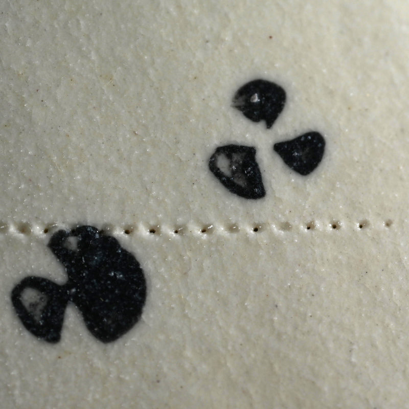 とらえどころのない噴火盆地 ー 近藤豊「粉花皿」