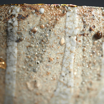 Ido Chawan Tea Bowl, Miyabi ー市川 透 “井戸茶盌 雅”