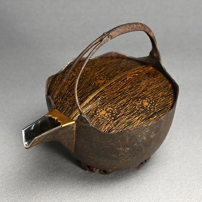 Antique Japanese Iron Choshi Sake Kettle with Silver