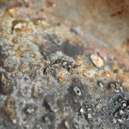 Bizen Yohen 6 pc. Plate Set ー森 敏彰 “備前 皿”