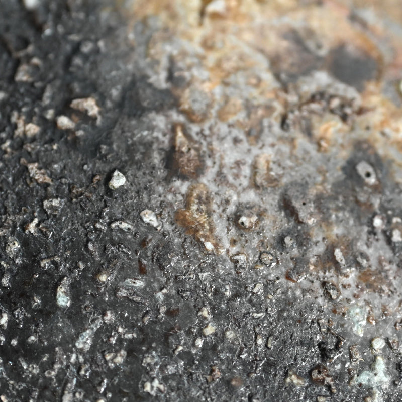 Bizen Yohen 6 pc. Plate Set ー森 敏彰 “備前 皿”