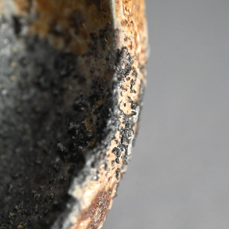 Bizen Yohen 6 pc. Plate Set ー森 敏彰 “備前 皿”