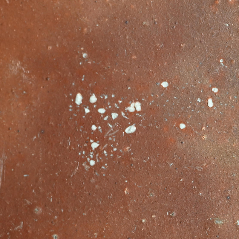 Masterpiece Bizen Slab Platter ー森宝山窯 “備前 皿” – Kura Monzen