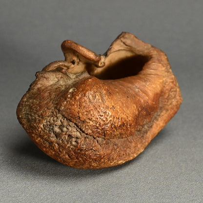 Scholar Studio Decoration, Natural Stone Pod, Fossil?