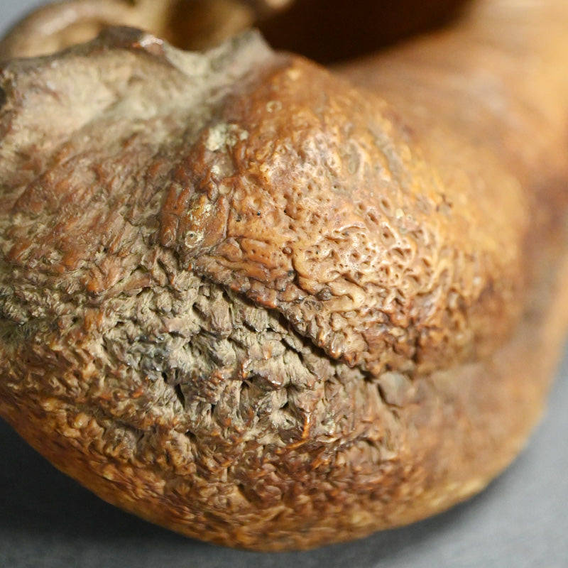 Scholar Studio Decoration, Natural Stone Pod, Fossil?