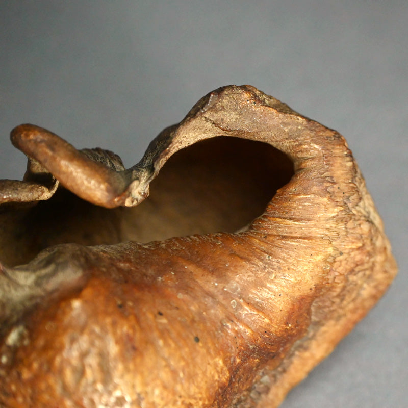 Scholar Studio Decoration, Natural Stone Pod, Fossil?