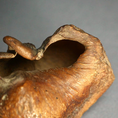 Scholar Studio Decoration, Natural Stone Pod, Fossil?