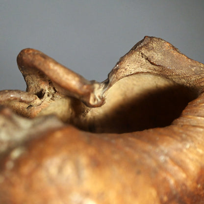 Scholar Studio Decoration, Natural Stone Pod, Fossil?