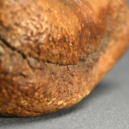 Scholar Studio Decoration, Natural Stone Pod, Fossil?