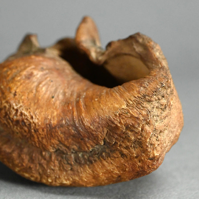 Scholar Studio Decoration, Natural Stone Pod, Fossil?