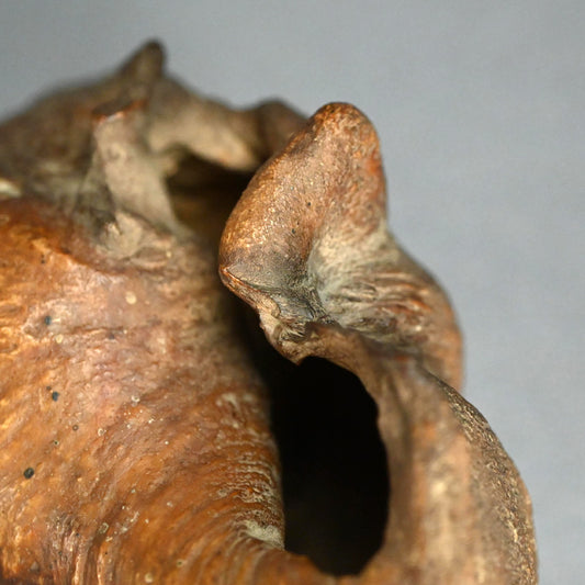 Scholar Studio Decoration, Natural Stone Pod, Fossil?