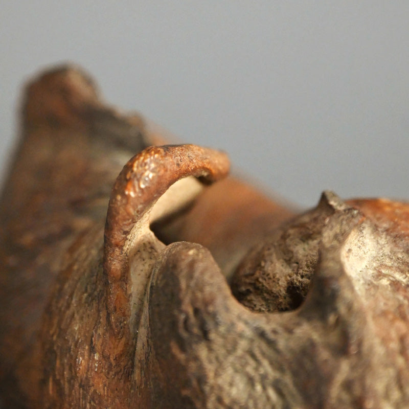 Scholar Studio Decoration, Natural Stone Pod, Fossil?