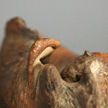 Scholar Studio Decoration, Natural Stone Pod, Fossil?