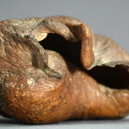 Scholar Studio Decoration, Natural Stone Pod, Fossil?