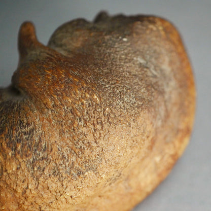 Scholar Studio Decoration, Natural Stone Pod, Fossil?