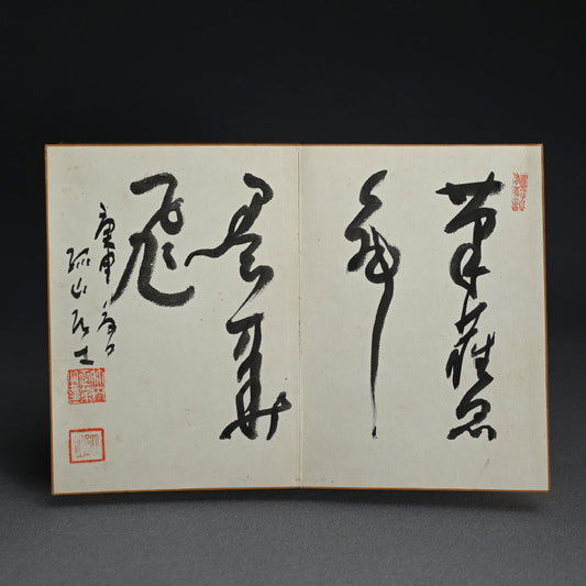 Two Taisho p. Painted Albums by Various Kyoto Artists