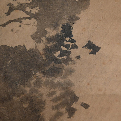 Antique Japanese Blue Eyed Tiger by Fuminobu