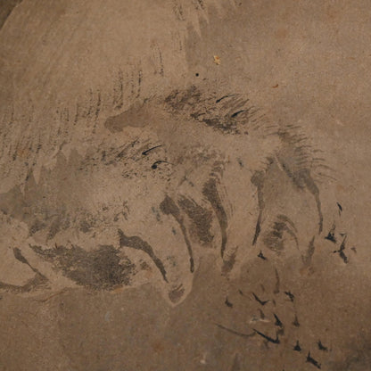 Antique Japanese Blue Eyed Tiger by Fuminobu