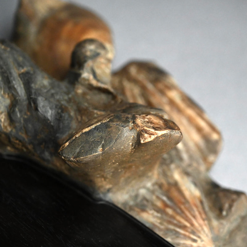 日本の古代の化石硯石