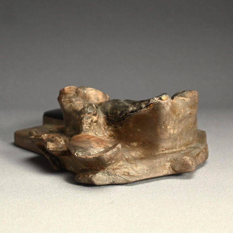 日本の古代の化石硯石