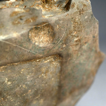 日本の古代の化石硯石