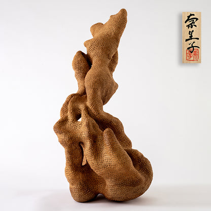 Phantasmagorical Ceramic Sculpture, “Skin of the Earth” ー向井 奈生子 “土の皮Ⅰ”