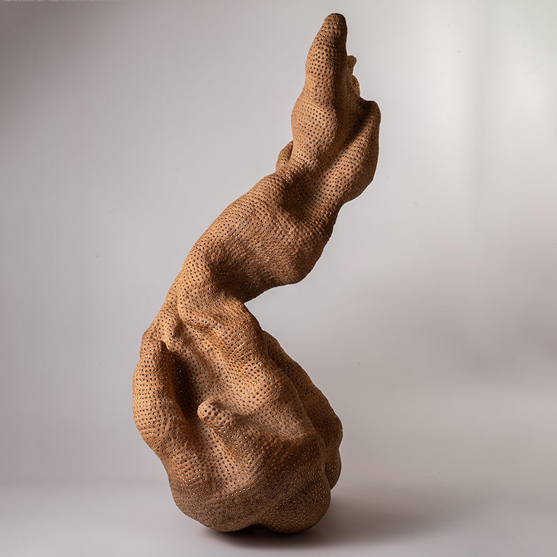 Phantasmagorical Ceramic Sculpture, “Skin of the Earth” ー向井 奈生子 “土の皮Ⅰ”