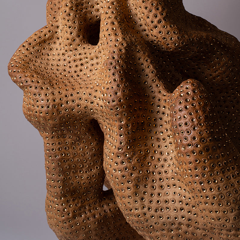 Phantasmagorical Ceramic Sculpture, “Skin of the Earth” ー向井 奈生子 “土の皮Ⅰ”